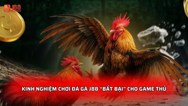 Đá gà J88 - Sảnh game trực tuyến đỉnh cao dành cho kê thủ 4 Kinh nghiệm chơi đá gà J88 “bất bại” cho game thủ