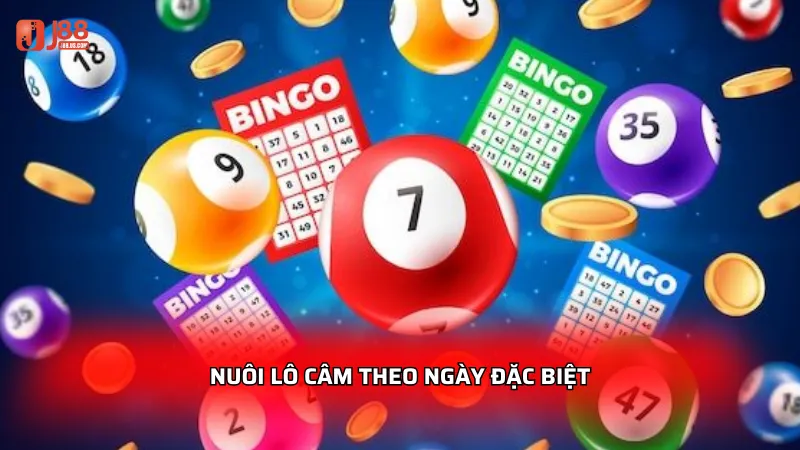 Lô câm J88 - Bí kíp nuôi lô cực chuẩn cho người mới 2026 4 Nuôi lô câm theo ngày đặc biệt