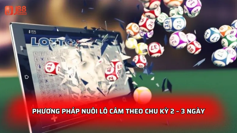 Lô câm J88 - Bí kíp nuôi lô cực chuẩn cho người mới 2026 3 Phương pháp nuôi lô câm theo chu kỳ 2 – 3 ngày